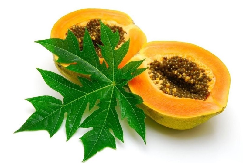 100% Organic Carica Papaya/Papow leaves,100 seeds for Health gallery