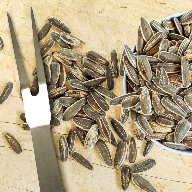 Sunflower Seeds, Salted, 6 Ounce (Pack of 9) gallery
