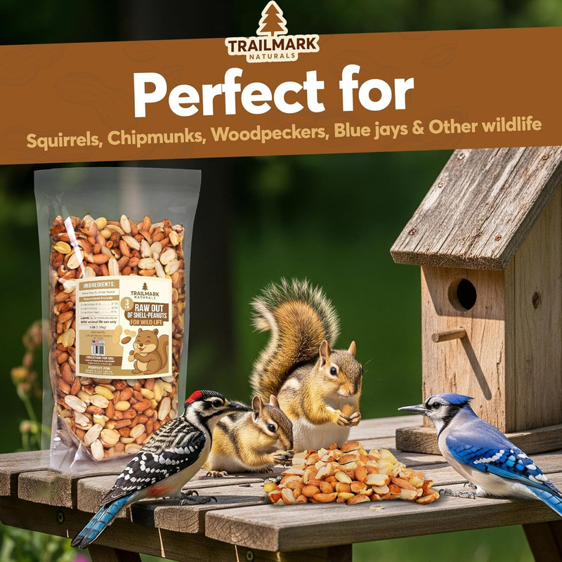 5 LB - Raw Shelled Peanuts for Squirrels, Out of Shell Peanuts for Birds and Wil gallery