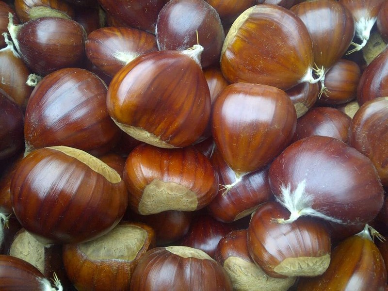 Chestnut Jar Chestnuts From Ardeche France Whole Roasted Chestnuts Peeled and... gallery