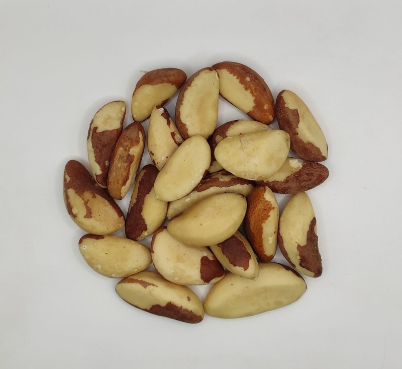 Dried Brazil Nuts 460 Grams (16.3 oz) - Bertholletia excelsa gallery