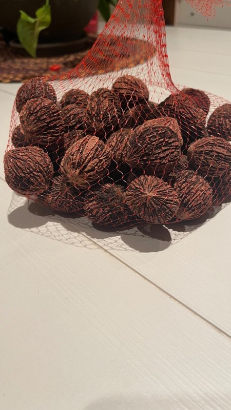 1 pound Fresh hulled, cleaned,and cured Indiana Walnuts 2024 gallery