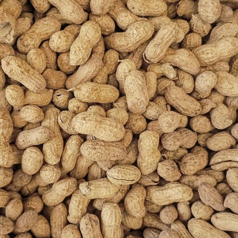 WINGFIELD-25 25 lb Virginia in Shell Animal Peanuts 25lb Bag Wildlife Yellow gallery