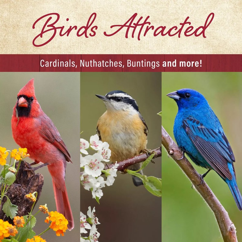 Member's Mark Ultra Premium Nut & Fruit Blend Birdseed, 20 lbs. gallery
