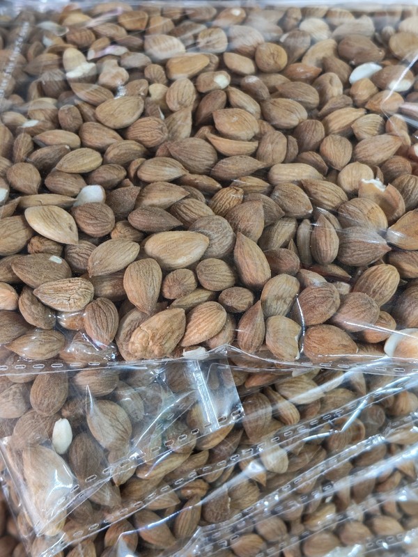 Apricot Kernels gallery