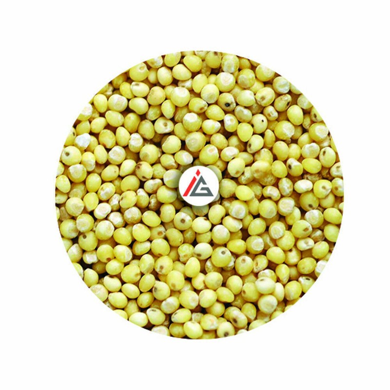 Hulled Millet Seeds – 1 KG