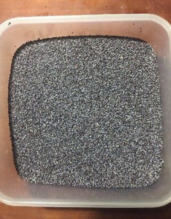 #1 Poppy Seeds UK 2023 Harvest - SN Supplier 5lb