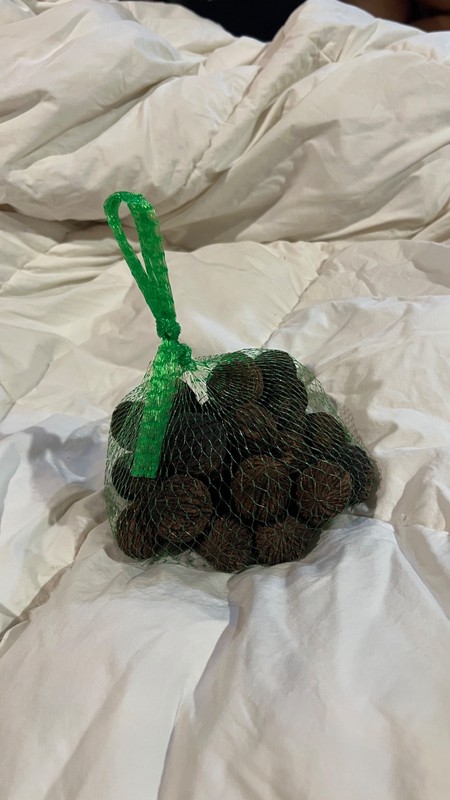 black walnuts whole in shell gallery
