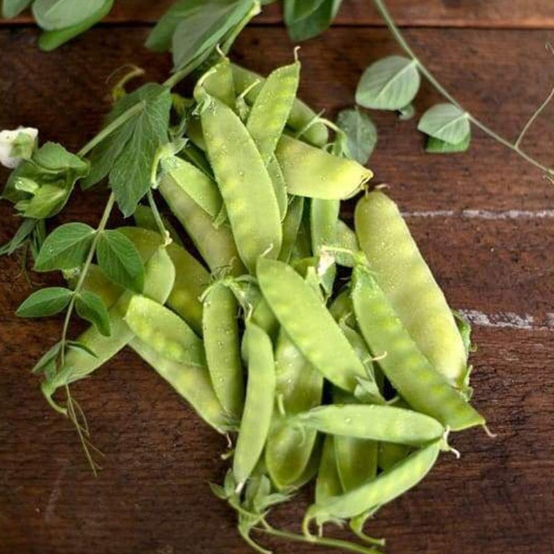 Heirloom Snow Peas Seeds – Premium Non-GMO Seeds for Home Garden