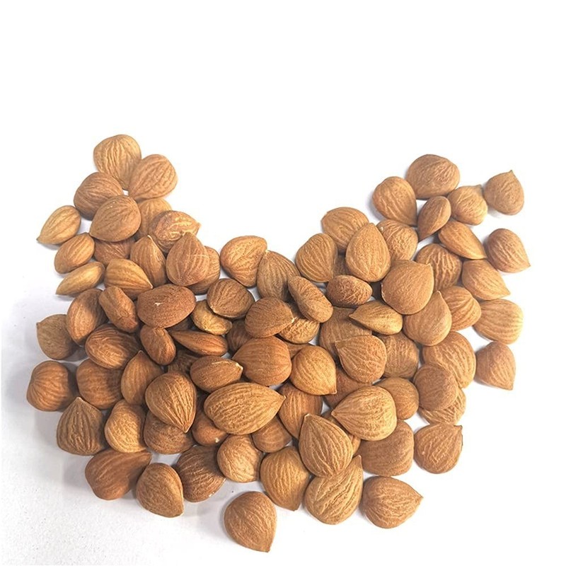 Organic BITTER Apricot Kernels 16 Oz, Whole Raw Apricot Seeds, Sun Dried, Kosher gallery
