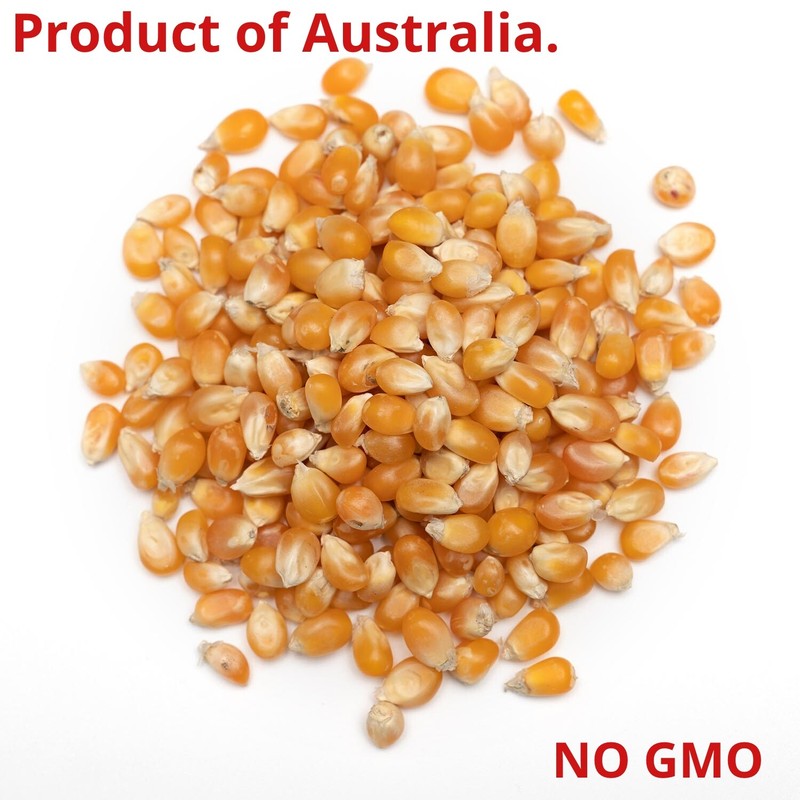 ORGANIC BULK 3 KG POPCORN Kernels Corn Seeds – PRODUCT OF AUSTRALIA – POPCORN