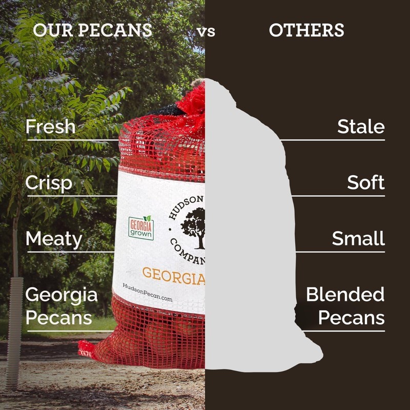 Georgia Grown Pecans - Premium In-Shell Nuts, Gluten-Free, Keto Snack, 5lb Bag gallery