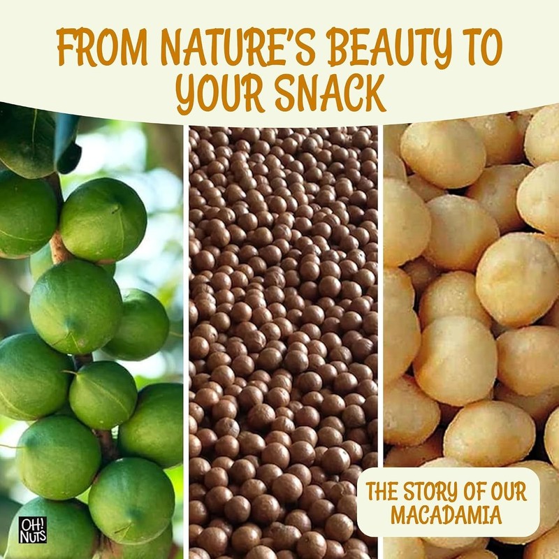 Keto Paleo Snack: Dry Roasted Macadamia Nuts gallery