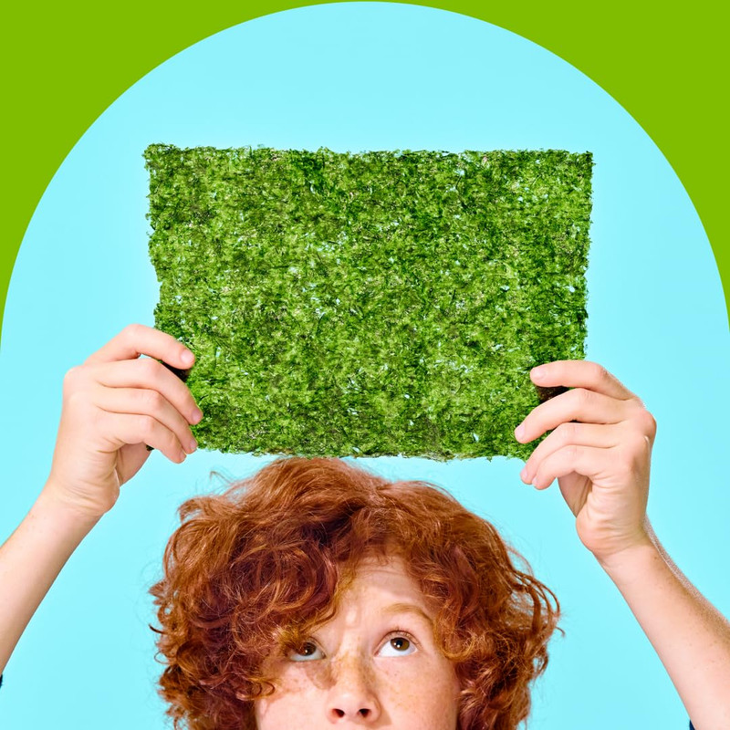 Gimme Seaweed Roasted Seaweed Big Sheets, Sea Salt Avocado Oil, 0.92oz, 10 Pack gallery