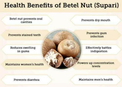 Organic Areca Nuts Natural Fresh & Dried High Quality Ceylon Betal Nuts gallery