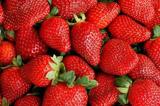 Cream Strawberry Seeds for Planting (Akihime Variety), 2000+ Heirloom Red