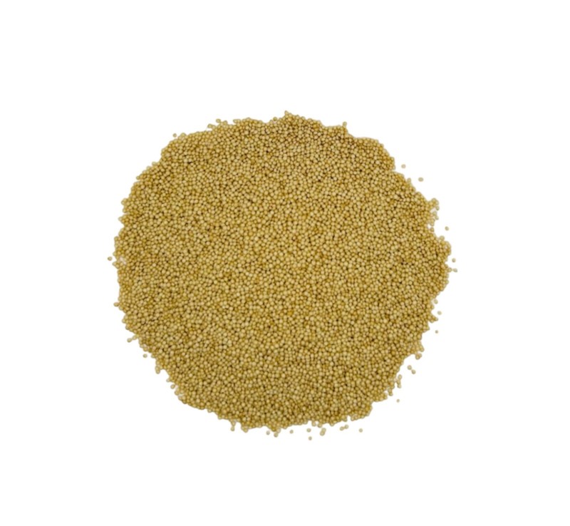 Dried Amaranth Grain 85g - 1.95Kg Premium Quality Amaranthus gallery