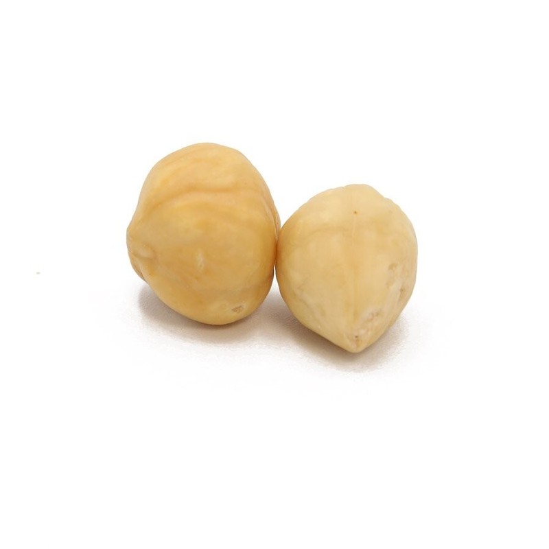 Filberts Blanched Roasted Unsalted (Hazelnuts) – 4oz gallery