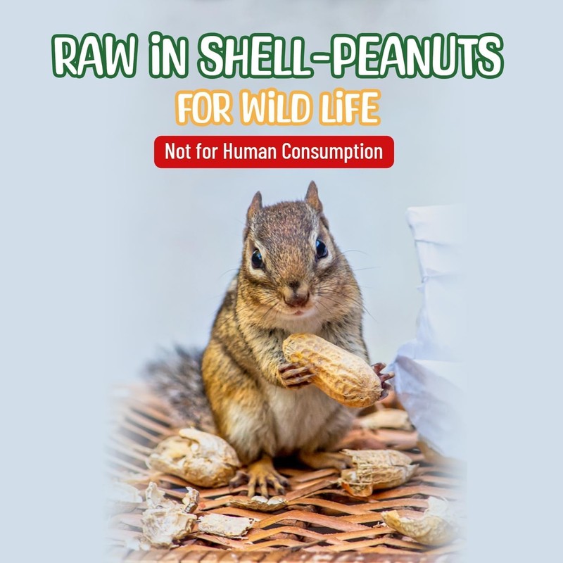 Quality- 25 Pound Raw Peanuts in Shell – All-Natural Food for Squirrels, Deer... gallery