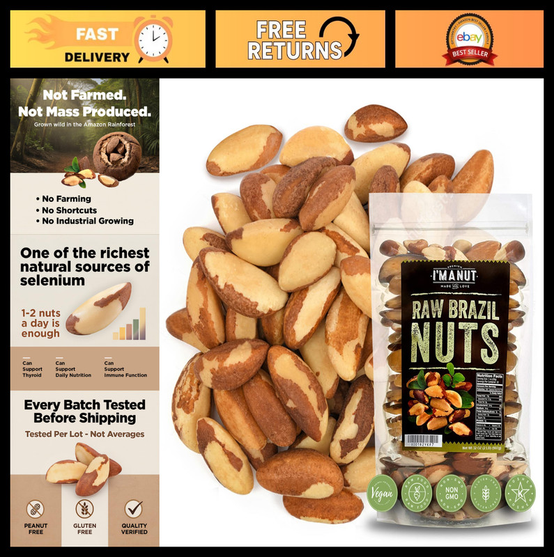 Raw Brazil Nuts 2 lbs – Premium Wild Harvested, High Selenium, Non-GMO, Gluten-F