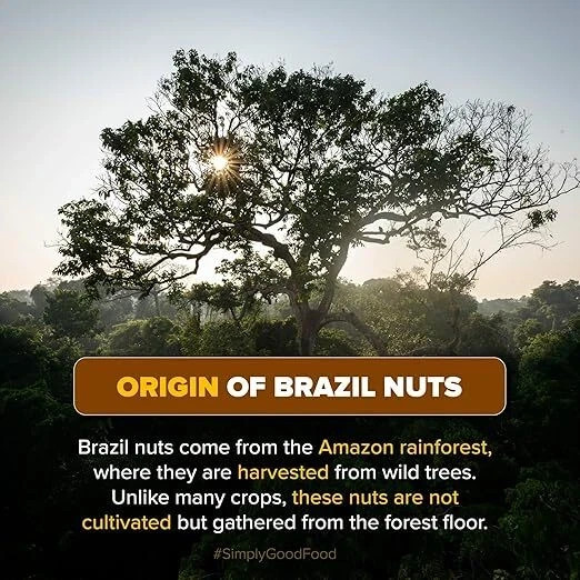 Brazil Nuts, 250g (Rich in Selenium | Superfood | Have 1 Daily | Product of Peru gallery