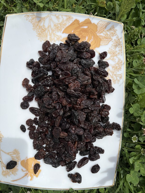 Jumbo Black Raisins Fresh Resealable Bag 11oz. to 40 lbs.by AgroSun Quality gallery
