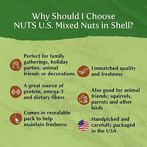 Mixed Nuts In Shell - Almonds, Walnuts, Hazelnuts, Pecans, Brazil Nuts | No Addi gallery