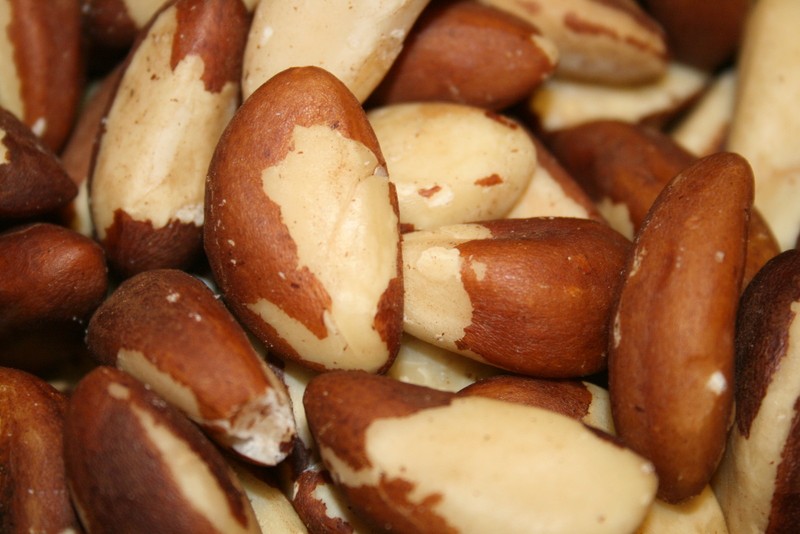Brazil Nuts (Raw, No Shell, Premium, Whole, Natural) 2LBS