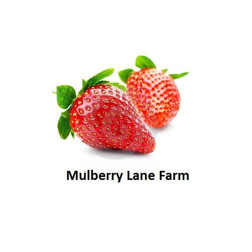 Millet, Hulled, Organic, Non-GMO, Select Size Below, Bulk, FAST SHIP gallery