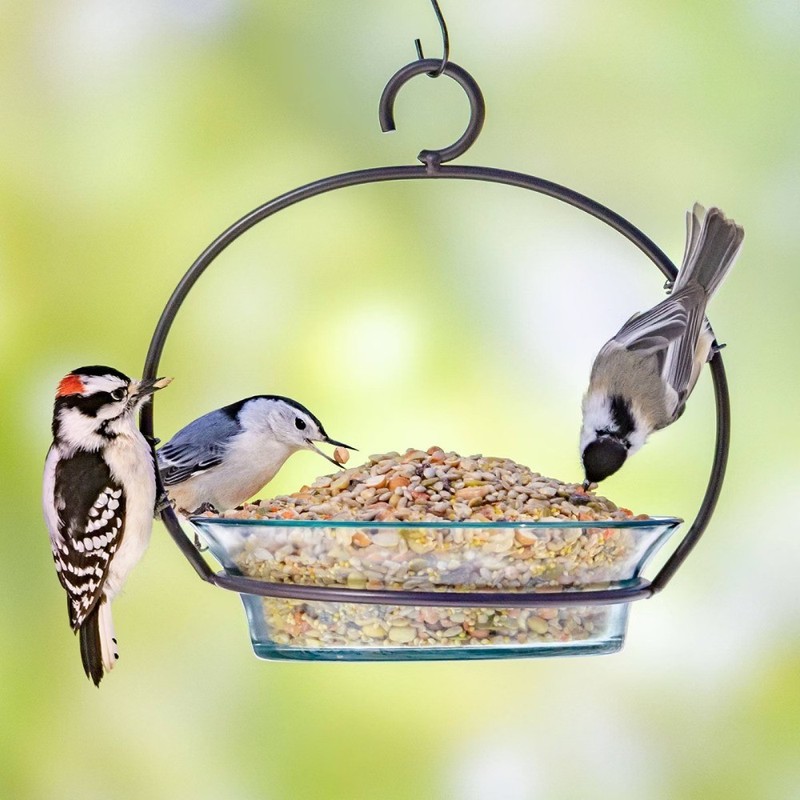 Select 5lb Waste Free Nut & Fruit Wild Bird Food: Shell-Free, Sunflower Hearts gallery
