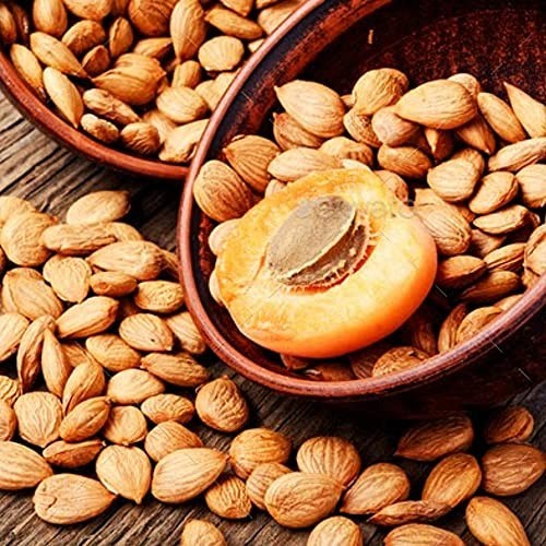 Organic Bitter Apricot Kernels 2 LB - Raw, USDA Certified, Healthy Snack, Turkey gallery