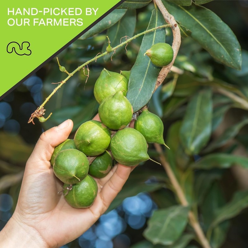 Nut Cravings Macadamia Nuts | Raw Fresh Snack Resealable Bag Kosher & Healthy gallery
