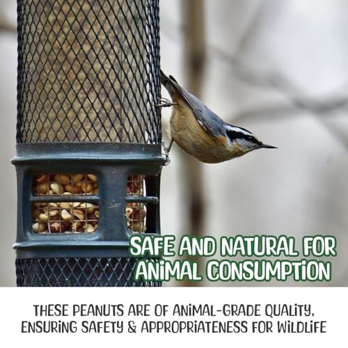 25 lb Raw Peanuts in Shell - All-Natural Wildlife Food for Squirrels, Birds & De gallery