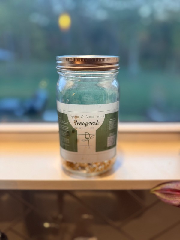 Sprouting Jar Kit – Glass Jar, Lid & 5 Seed Varieties – Grow Fresh Sprouts