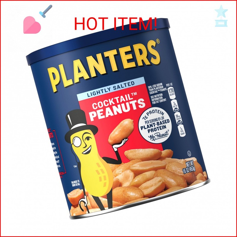 PLANTERS Dry Roasted Peanuts, Plant-Based Protein, Lightly Salted, Peanut Snack,