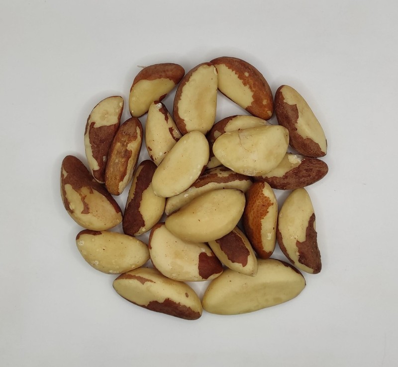 Dried Brazil Nuts 460 Grams (16.3 oz) - Bertholletia excelsa gallery