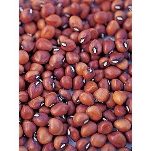 Organic Adzuki Beans - Sproutable, Kosher, Raw, Vegan – Non-GMO gallery