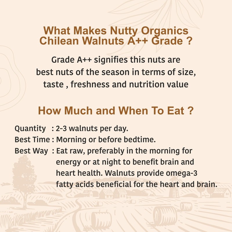 Nutty Organics Dried Walnut 1kg | Crunchy Akhrot | Protein Rich Snack gallery