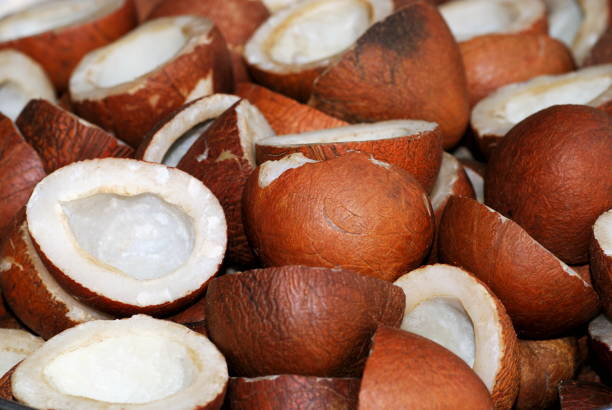 Natural Organic Dried Coconut Halves Dired Coconut Oil Copra pure Free shipping