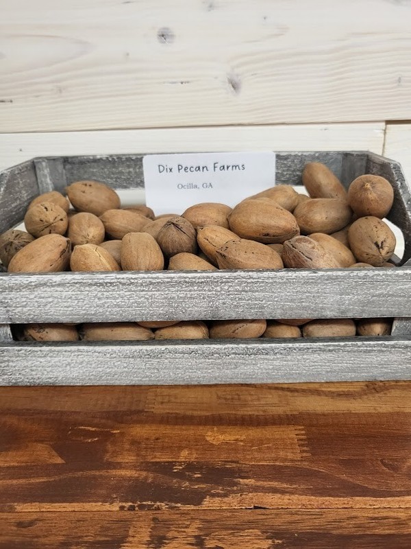 2023 Crop 10lb Bag Georgia Grown In-Shell Desirable Pecans FREE SHIPPING