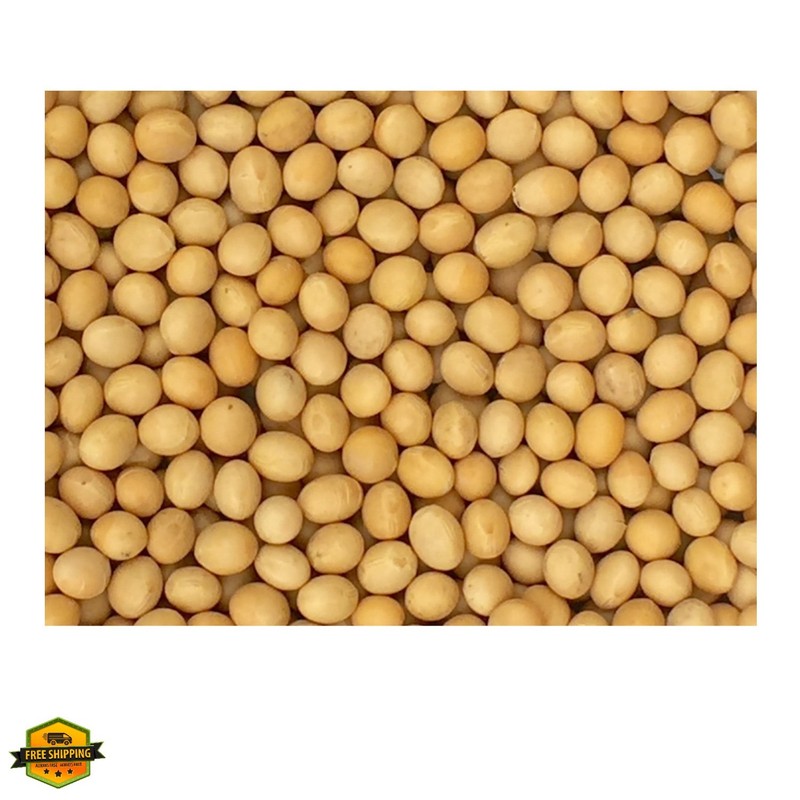 Grade Non-GMO Soybeans 5 Pounds - Great for Soy Milk and Tofu - Product of
