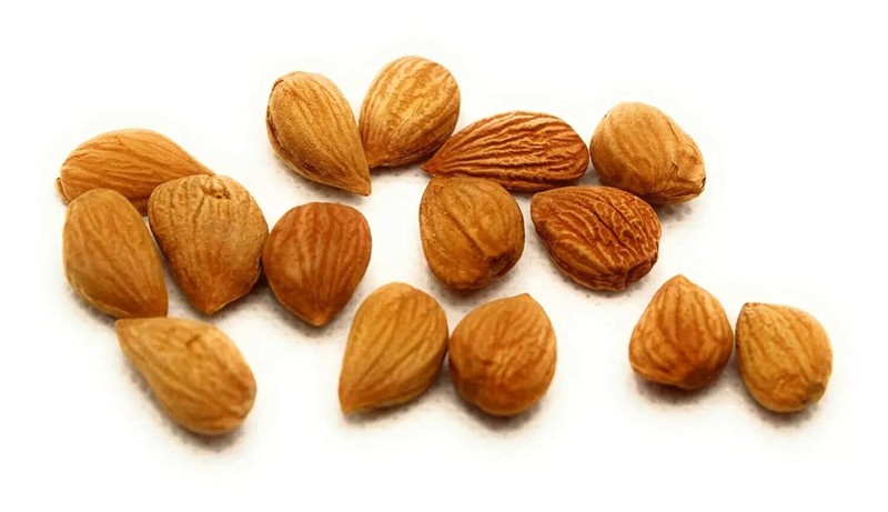 Arashan Apricots Seeds - Dried Sweet Raw Apricot Kernels (1 LB - 16 oz) gallery