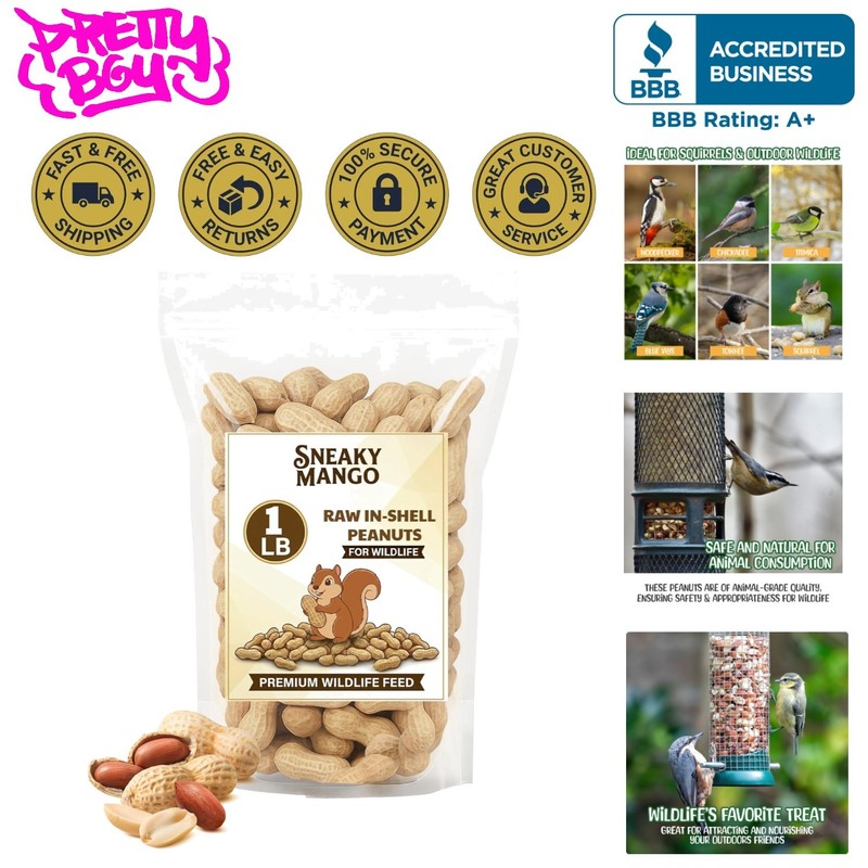Bulk Supply of Raw Peanuts for Wildlife - 1 lb Natural Feeding Solution