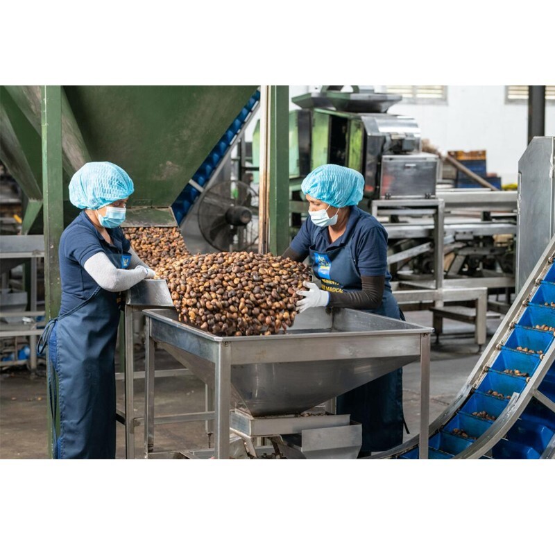 CASHEW Splits Dehydrated Premium Quality 100g Organic Snack Ceylon Grade A New gallery