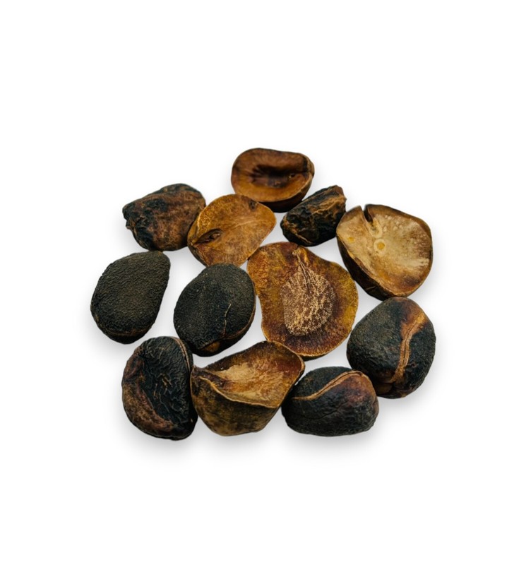 Dried Kola Nuts - 460 Grams (16.3 oz) - Premium Quality Cola Acuminata gallery