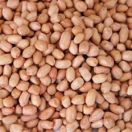 100% Natural Peanut Groundnut Fresh Whole Raw Peanuts Best Quality Dry Fruit gallery