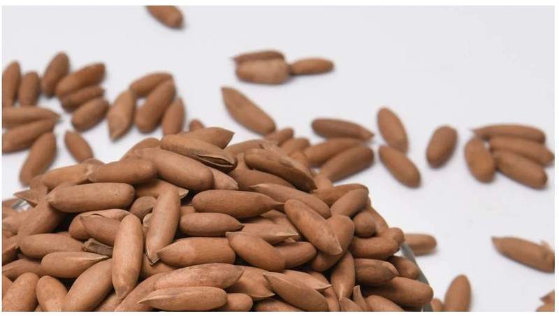 Pine Nuts Premium Quality A+ Grade Without Shell 8 Oz