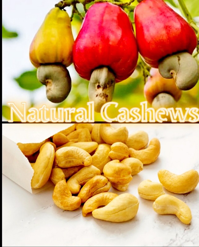 Raw Cashews Nuts Whole 100% Natural Best Quality Clean Anacardo Free shipping