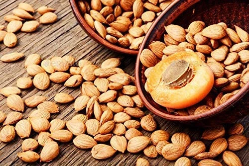 Bitter Apricot Kernels 1LB-100% USDA Certified Organic Bitter Apricot Seeds Free gallery