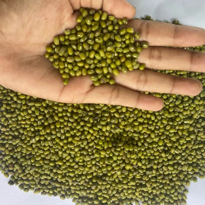 Organic Whole Dried Mung bean (Green Gram) Spices Moong Dal 100% Natural gallery